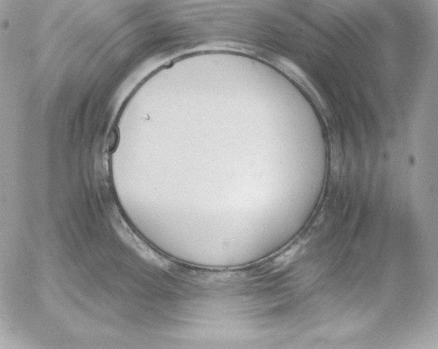 X0000052611292200507221650