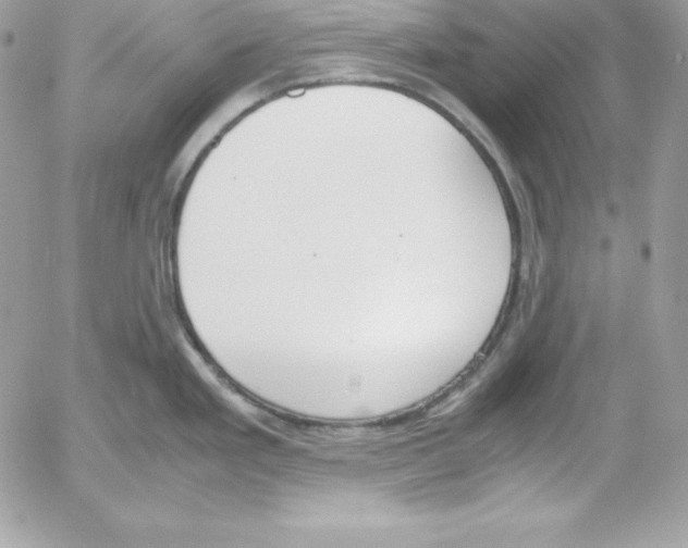 X0000052611293200507221650