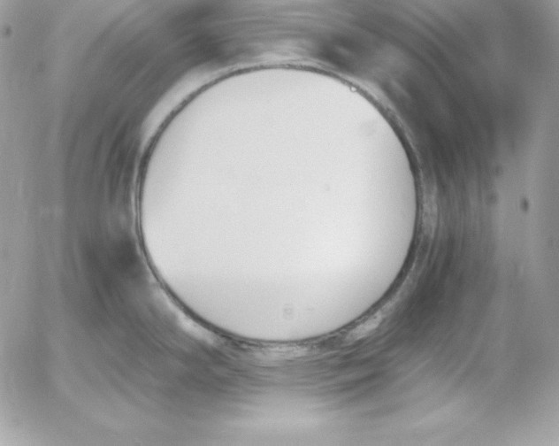 X0000052611294200507221650