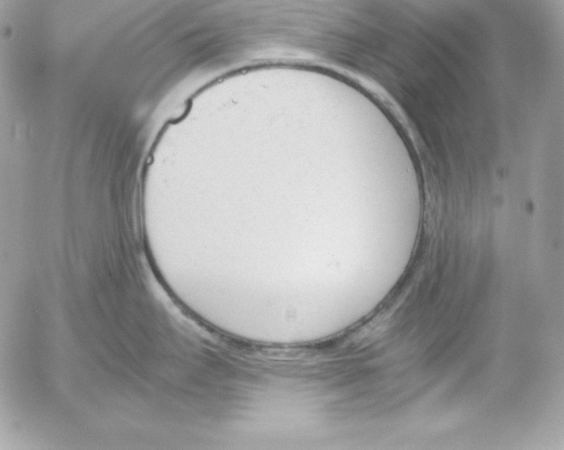 X0000052611295200507221650