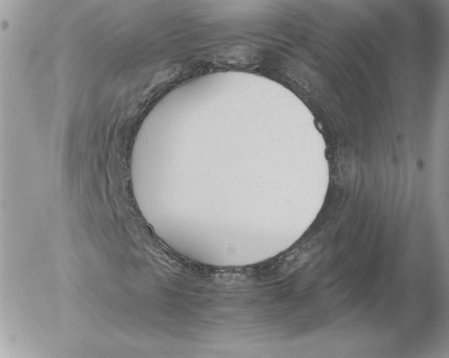 X0000052611297200507221649