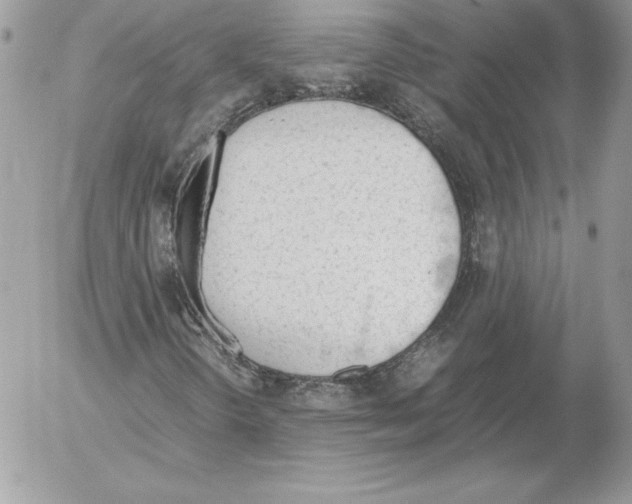 X0000052611298200507221649