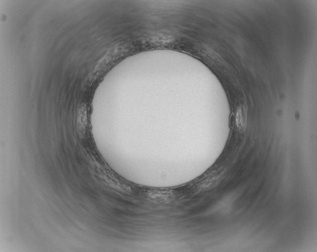 X0000052611299200507221649