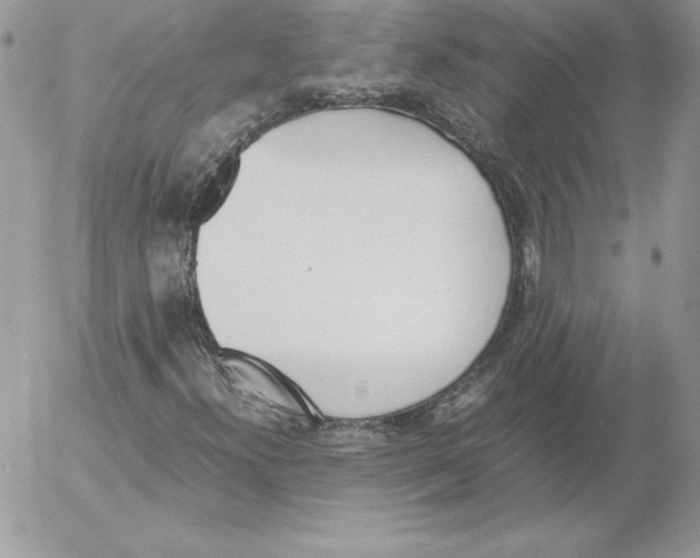 X0000052611300200507221649