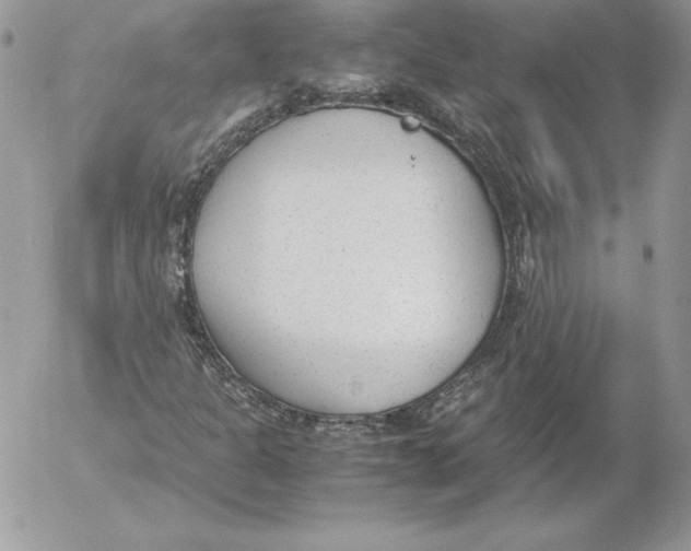 X0000052611301200507221649