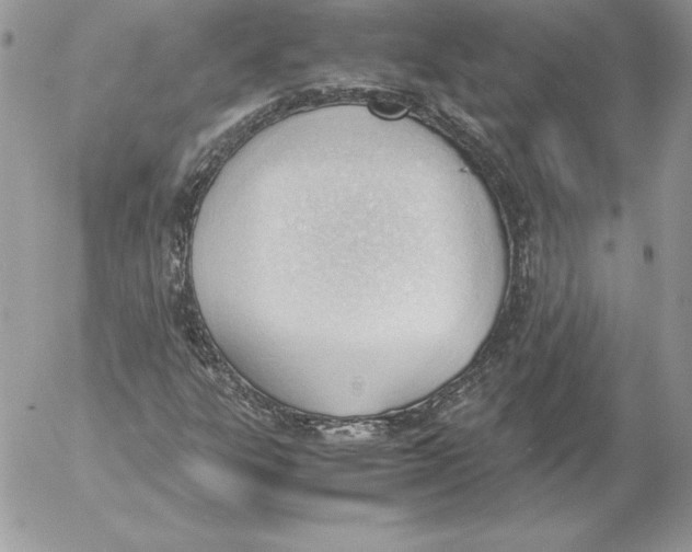 X0000052611303200507221649