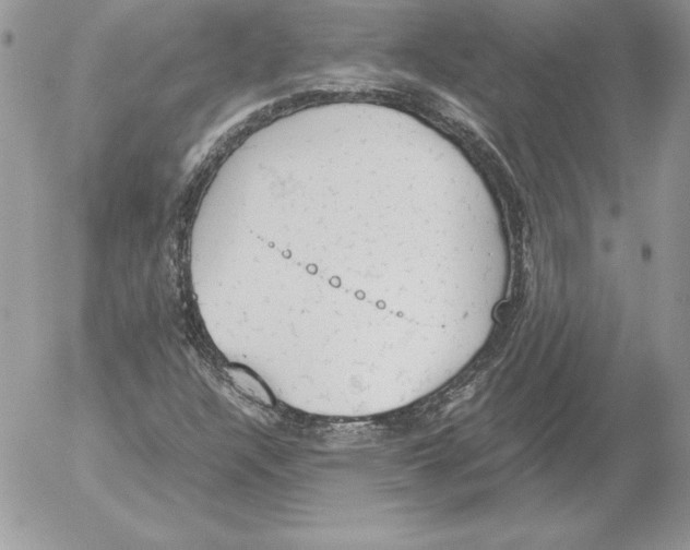 X0000052611304200507221649