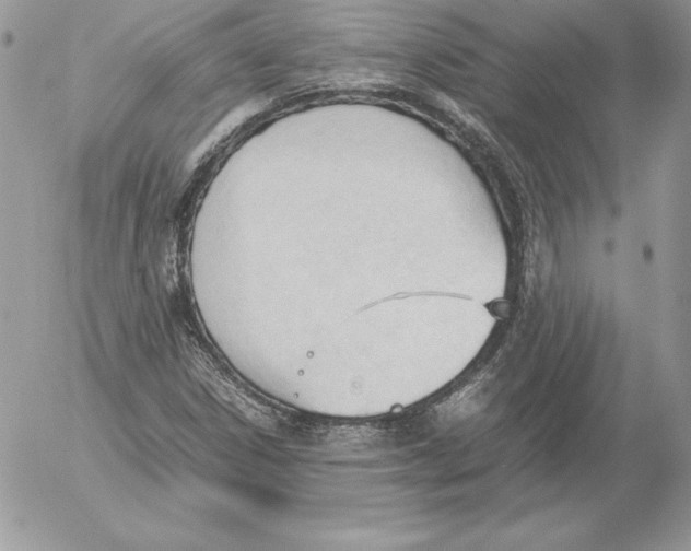 X0000052611306200507221649