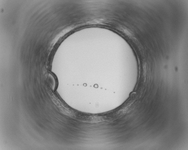 X0000052611308200507221649