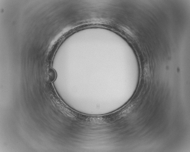 X0000052611310200507221649