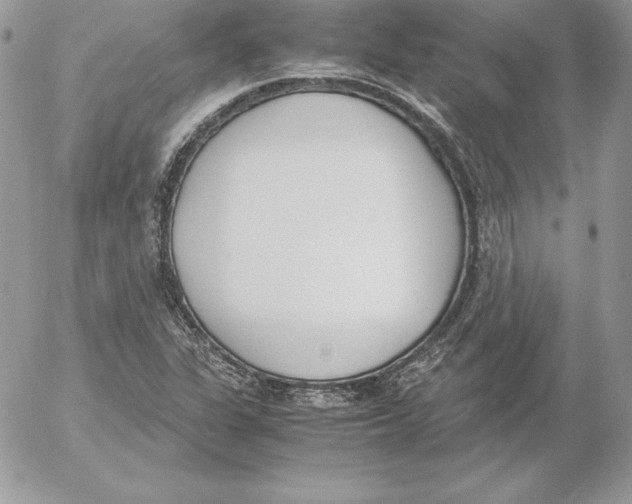 X0000052611311200507221649