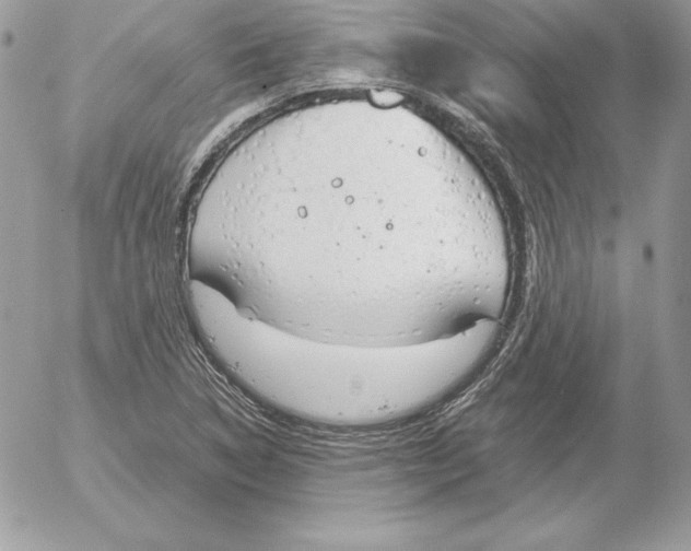 X0000052611314200507221649