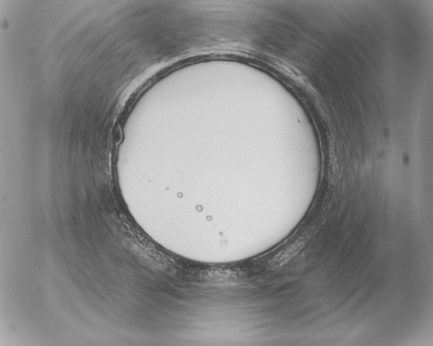 X0000052611316200507221649