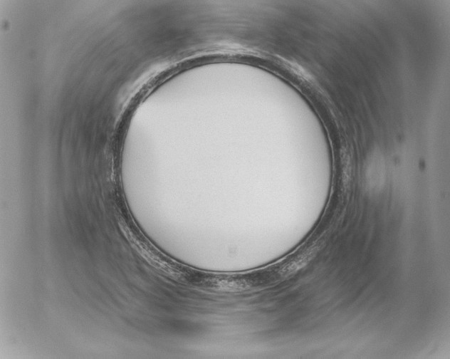 X0000052611318200507221649