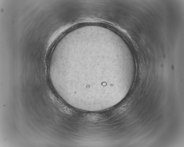 X0000052611319200507221649