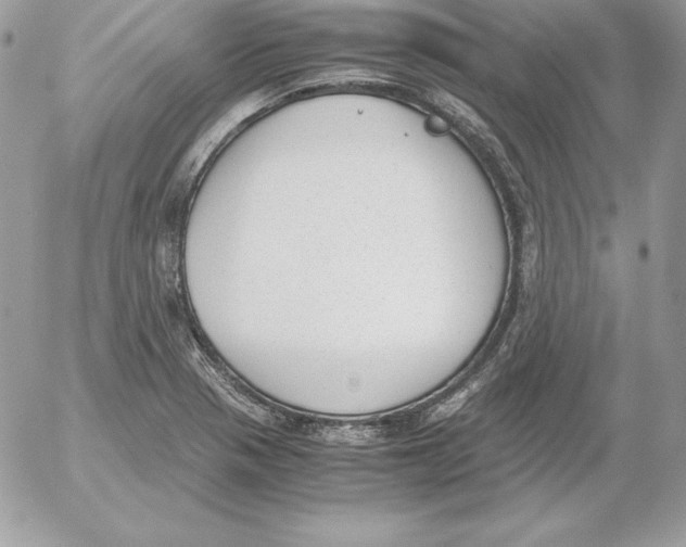 X0000052611321200507221649