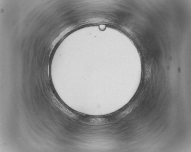 X0000052611322200507221649