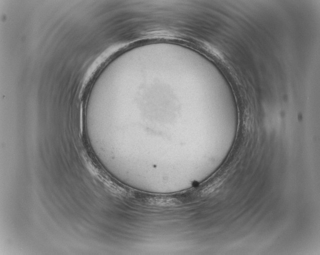 X0000052611323200507221649