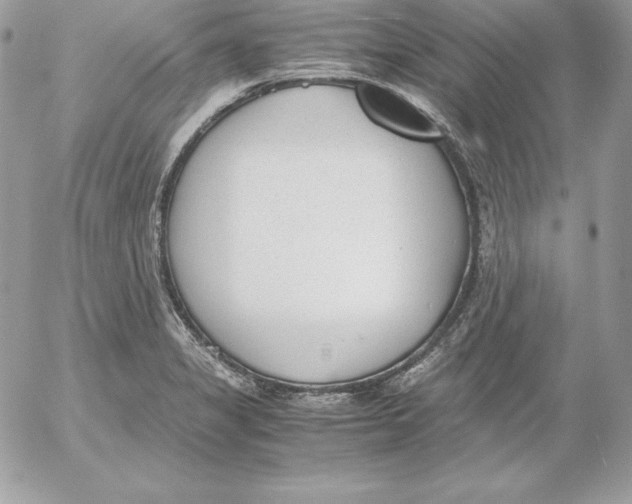 X0000052611325200507221649