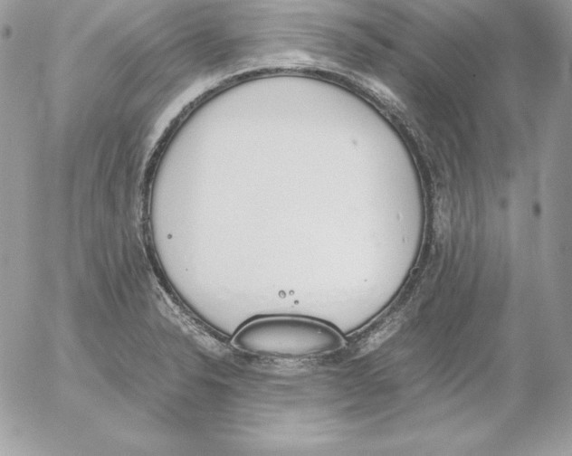 X0000052611326200507221649