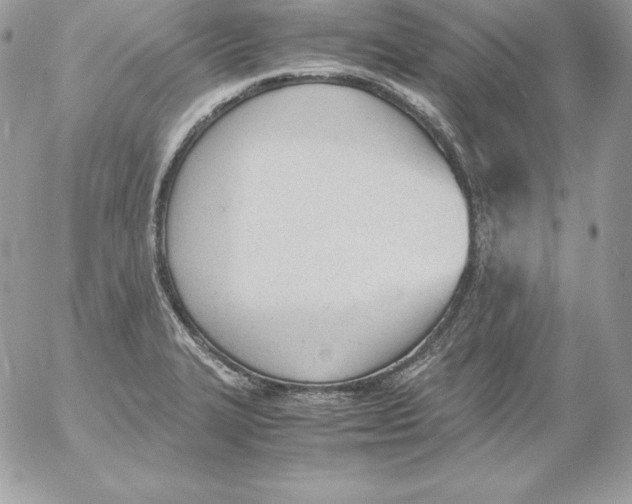 X0000052611327200507221649