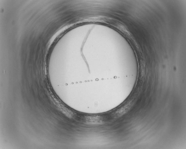 X0000052611328200507221649