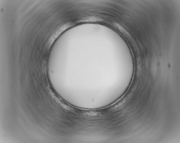 X0000052611329200507221649