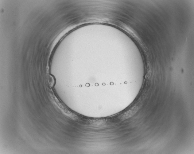 X0000052611332200507221649