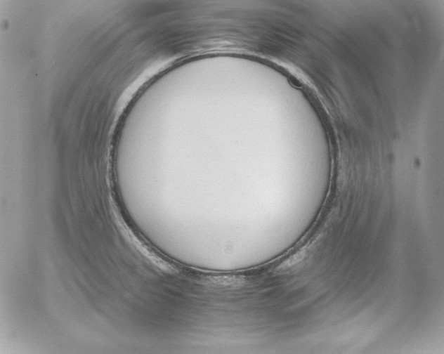 X0000052611333200507221649