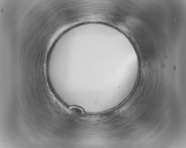 X0000052611334200507221649