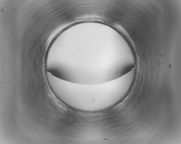 X0000052611336200507221649