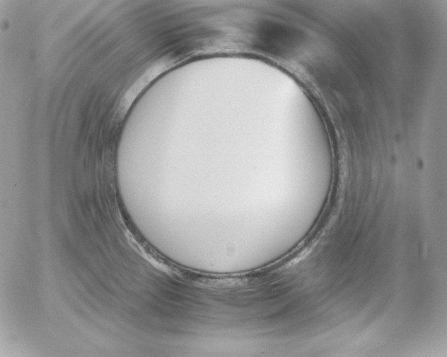 X0000052611337200507221649