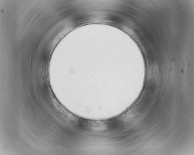 X0000052611338200507221649