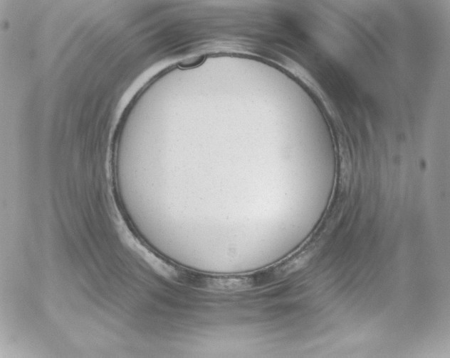 X0000052611339200507221649