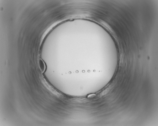 X0000052611340200507221649