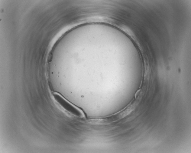 X0000052611342200507221649