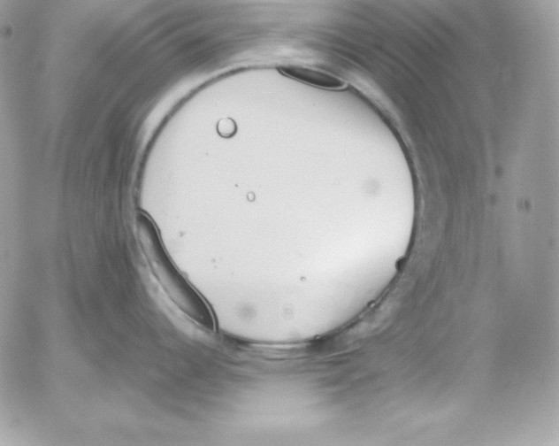 X0000052611344200507221649