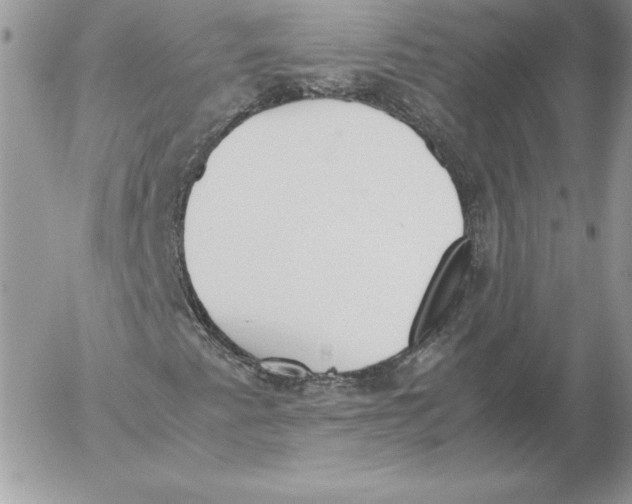 X0000052611345200507221649