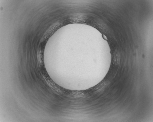 X0000052611346200507221649