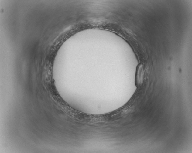 X0000052611349200507221649