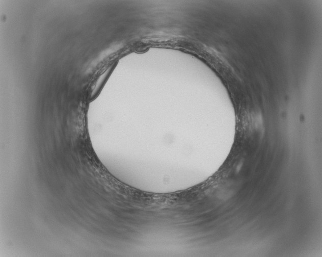 X0000052611350200507221649