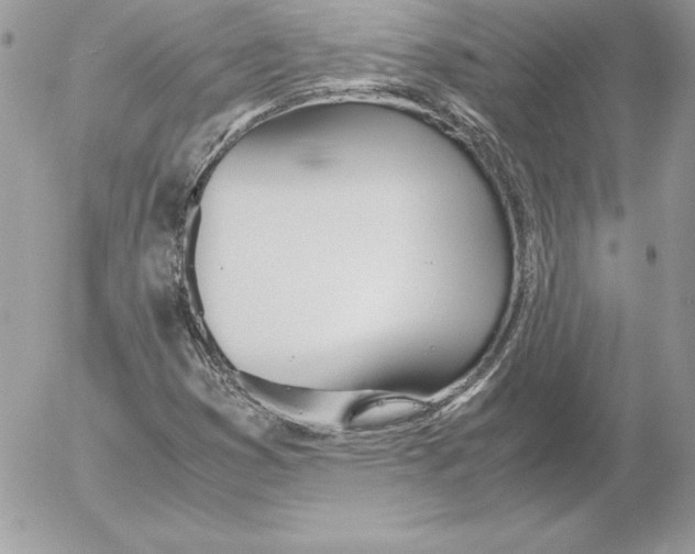 X0000052611353200507221649