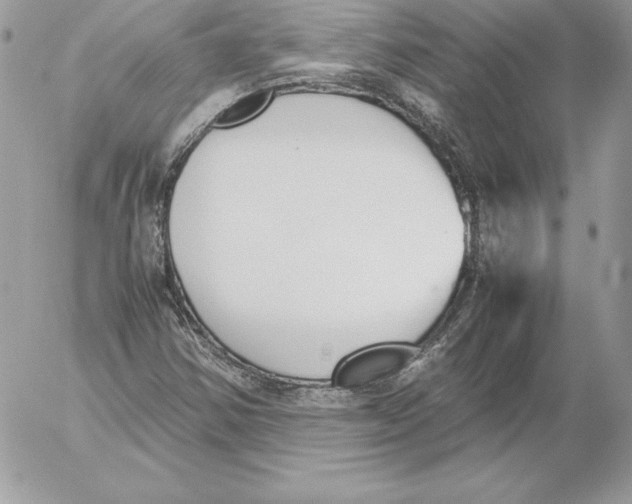 X0000052611354200507221649