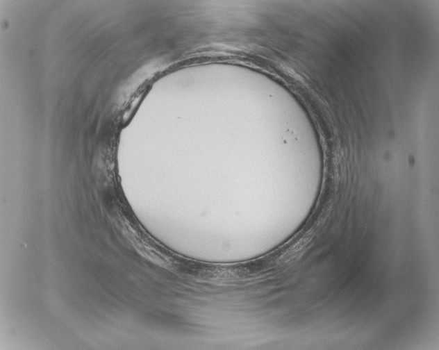 X0000052611355200507221649