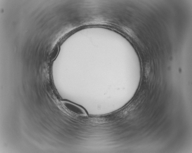 X0000052611356200507221649