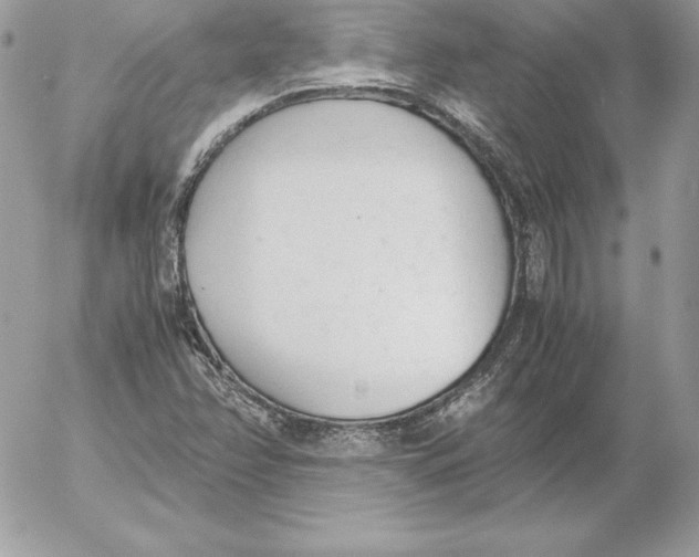 X0000052611358200507221649