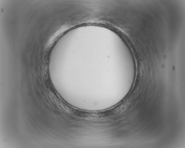 X0000052611359200507221648