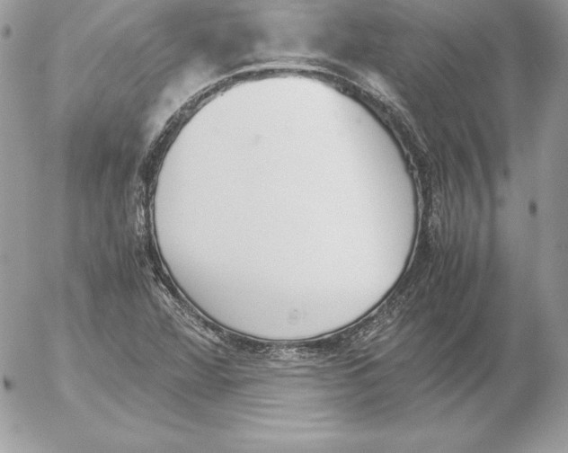 X0000052611360200507221648