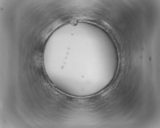 X0000052611361200507221648