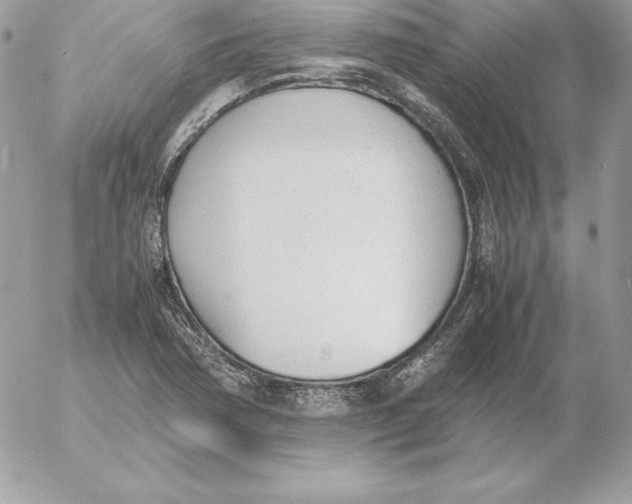 X0000052611362200507221648